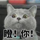 不冷，不热