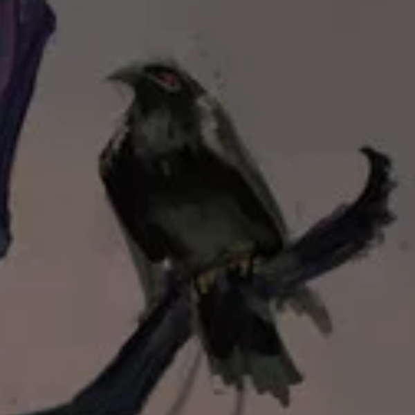鸦