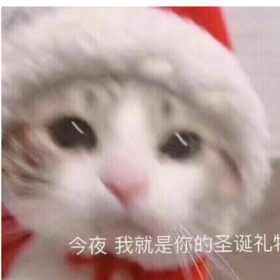 ็雨辰.💋