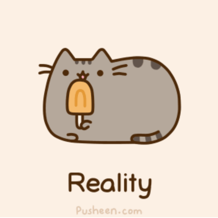 诚信肥宅 童叟无欺