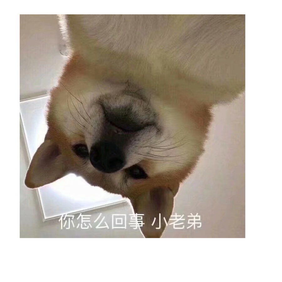 时间