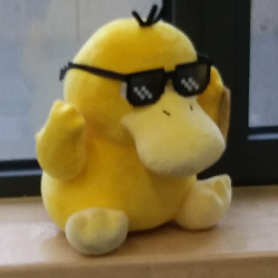 大C老师