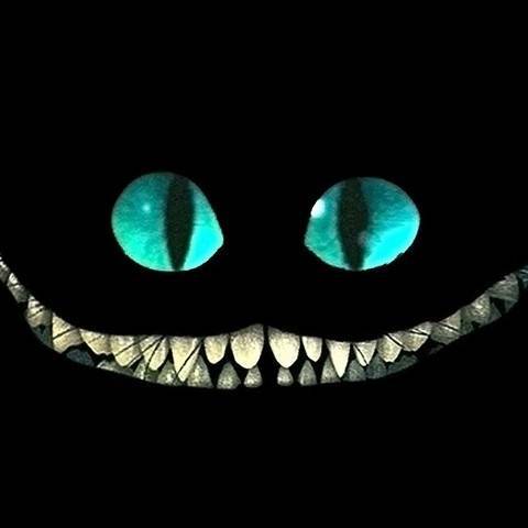 ﺭ并朝你扔了一条狗ﺭ不笑猫