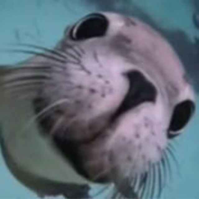 ！！！