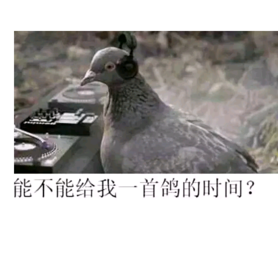 直到9012年二雷依旧没有更新