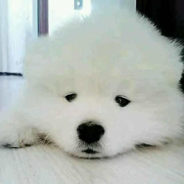 二十啷当岁