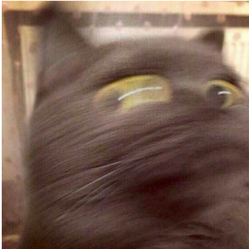 ken