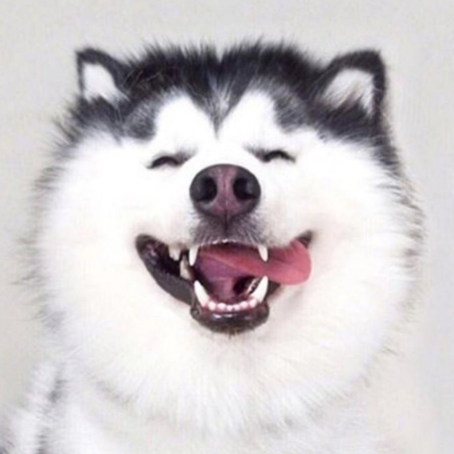 可口可乐