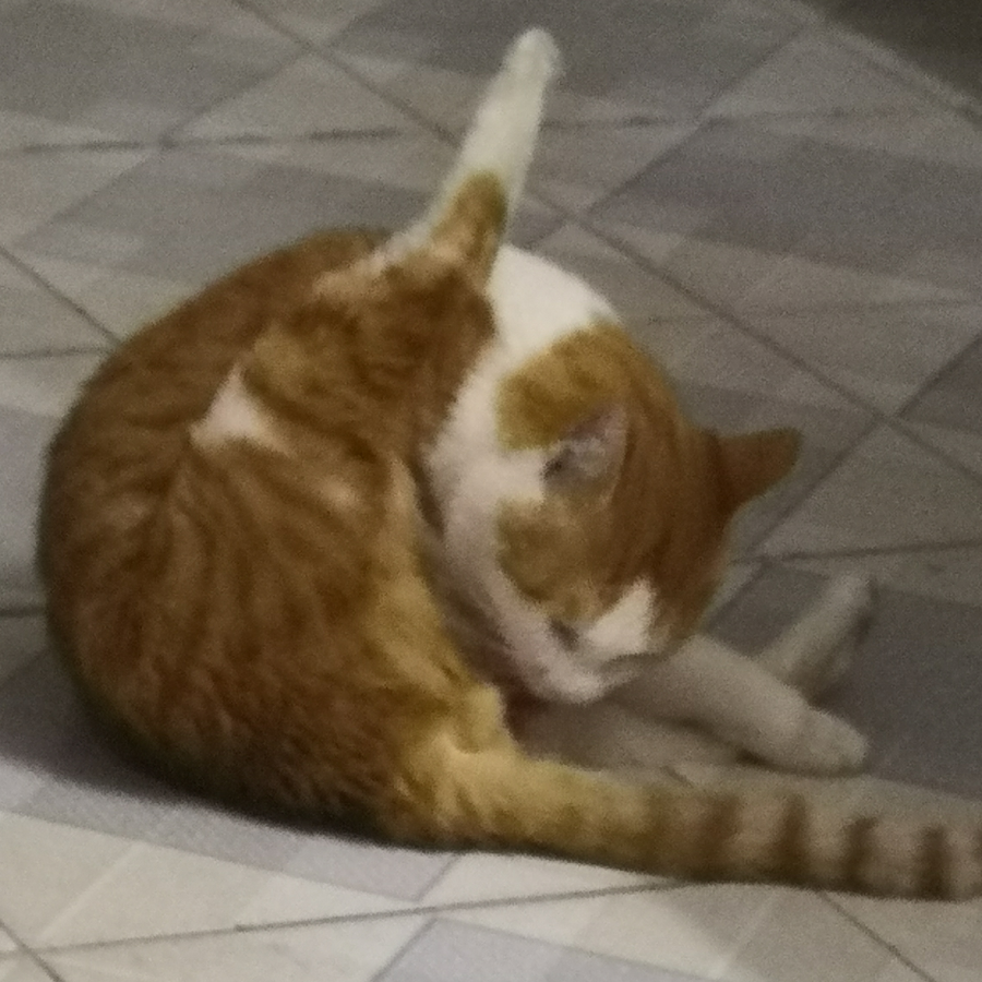 昵称必须保存