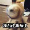 Eclair -【金有真KNK