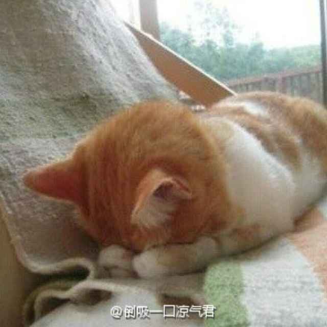 余生请你吃饭