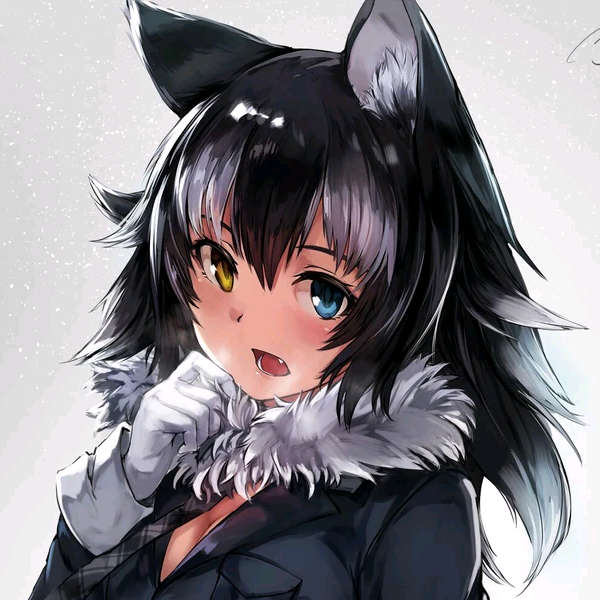 爱猫的咸鱼菌