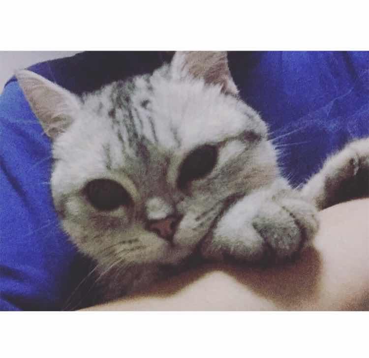 DelicateWorld🐱