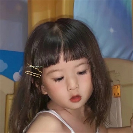 蔬菜代表大烩