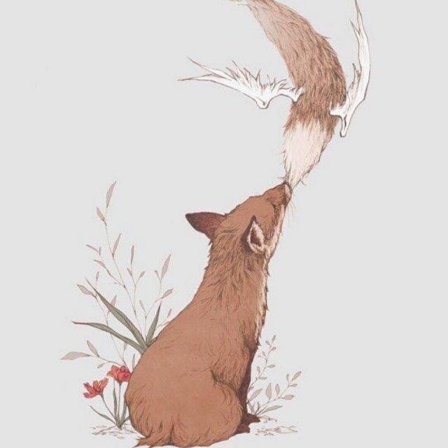 棉上