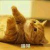 自挂东南枝