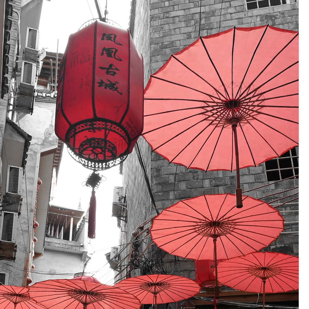 小熊饼干༻