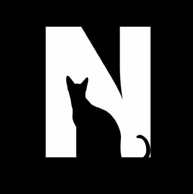 N31