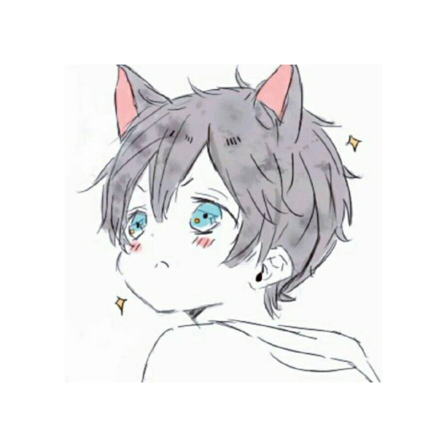 SH  黑♚你臣哥