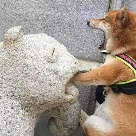 Zzz