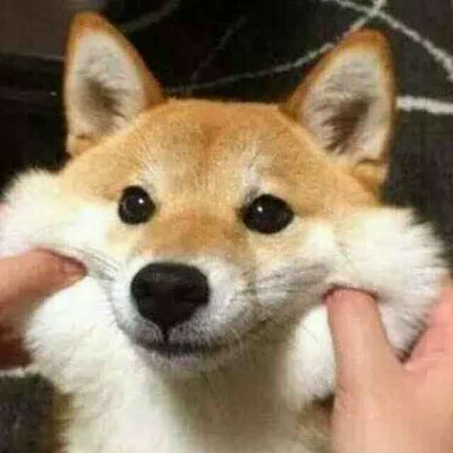 豆芽哥