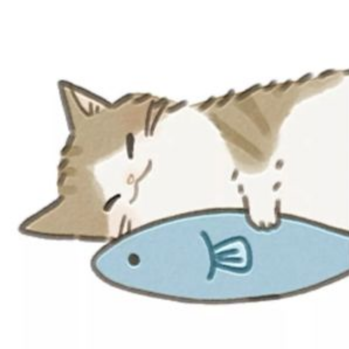 猫猫不吃鱼