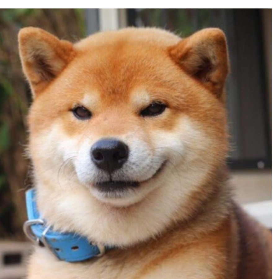 汐