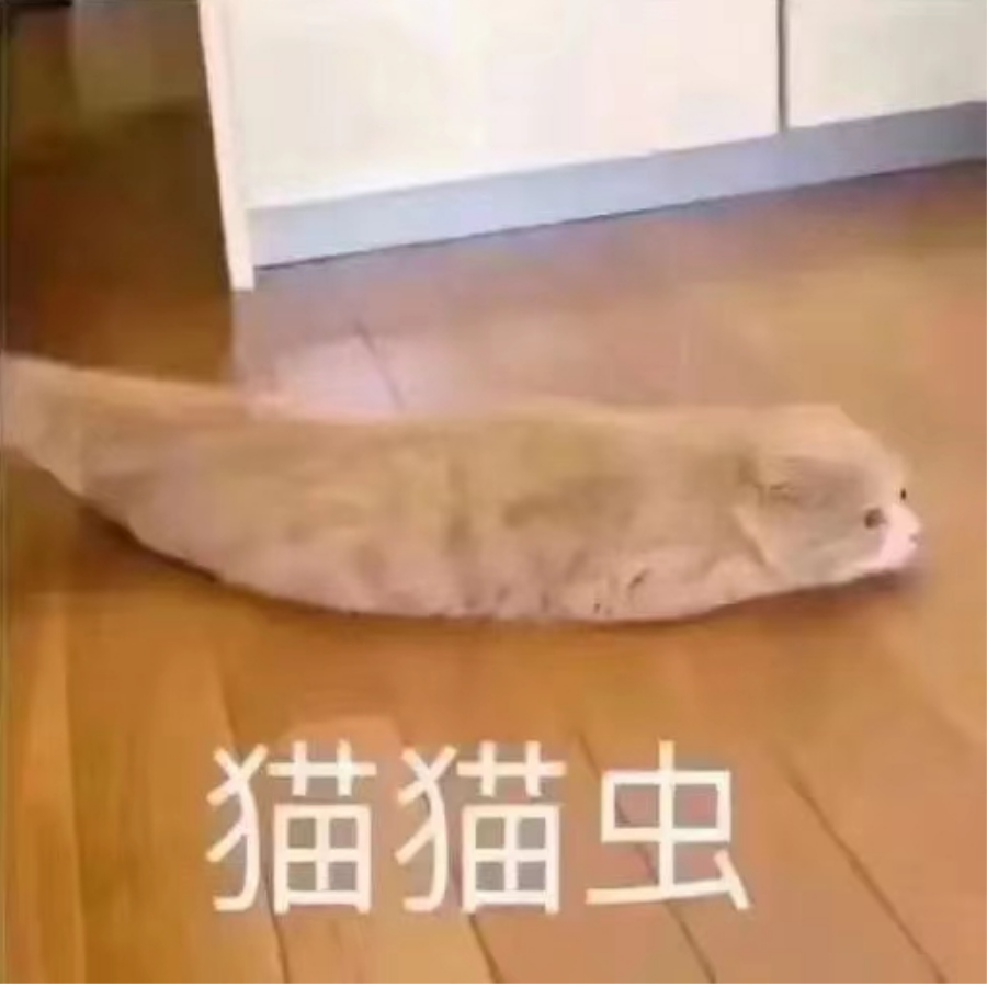 北猫柚