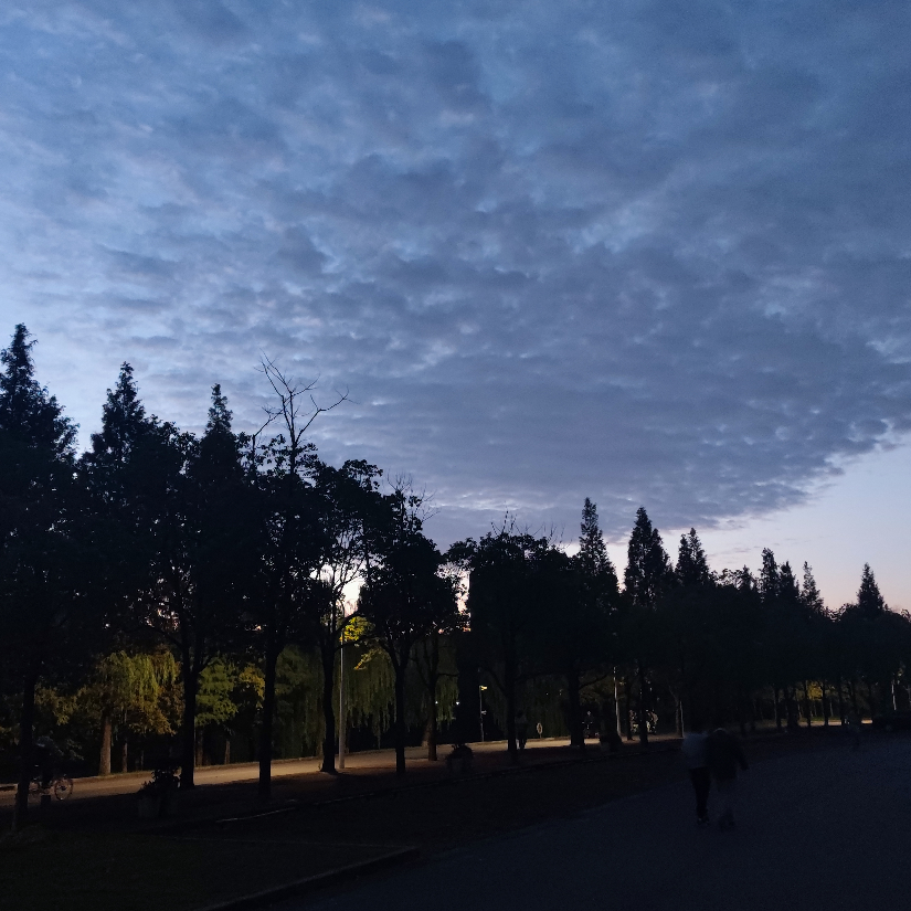 三笠阿克曼