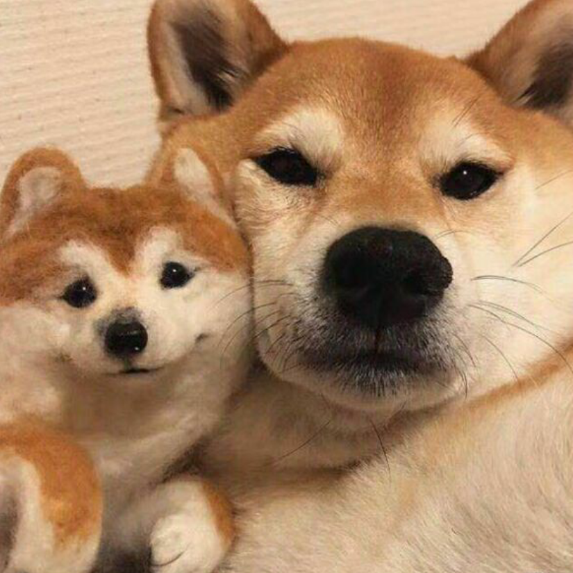 S'