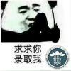 lgX