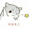 哈哈哈