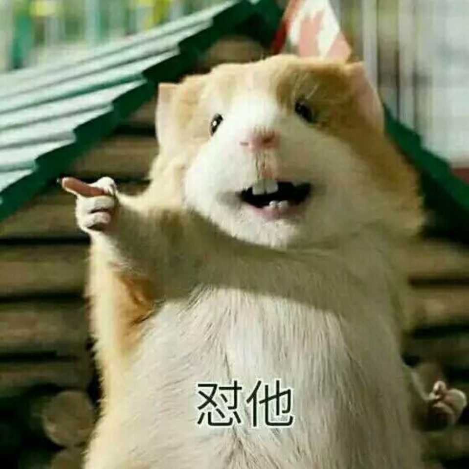 织