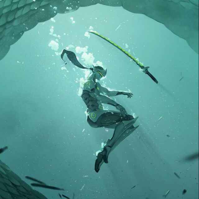 鸽