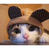You Are My Fant