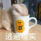 大写的ZAN