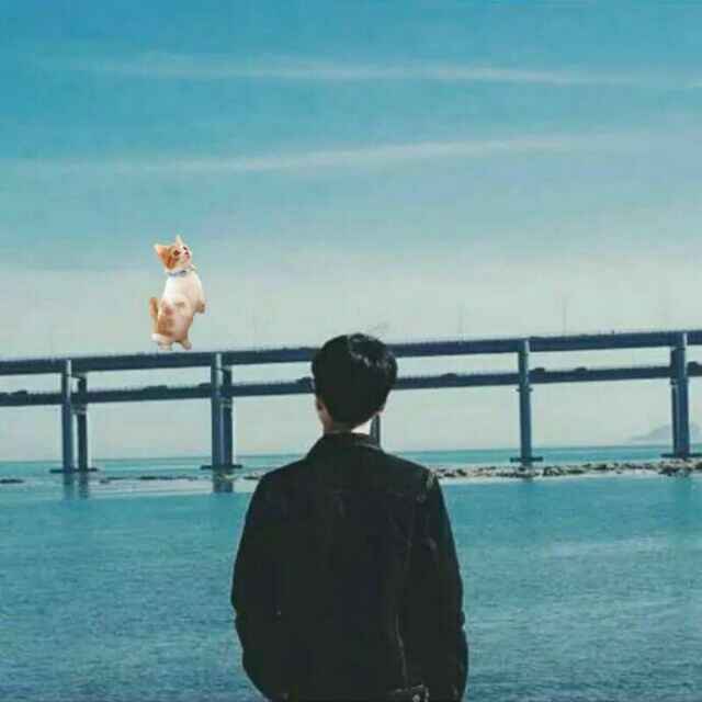 A小瓶子