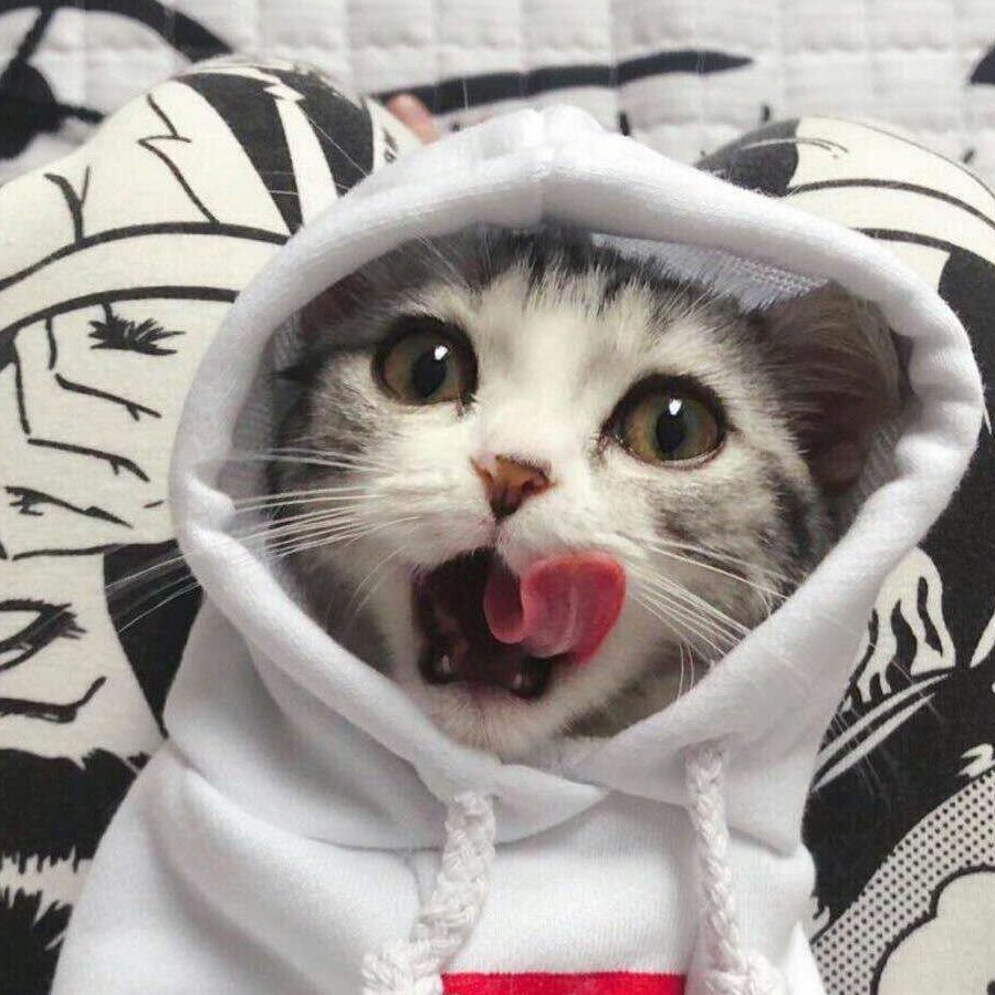 宪鵬 '