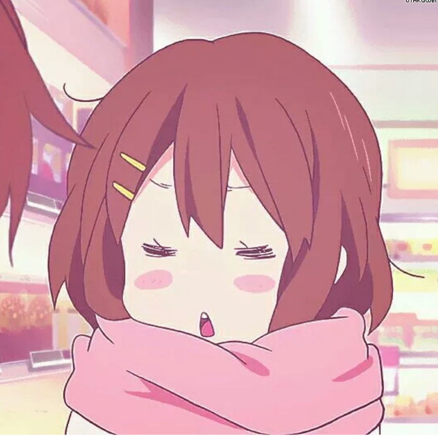 二凡十三岁
