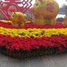奛嘯