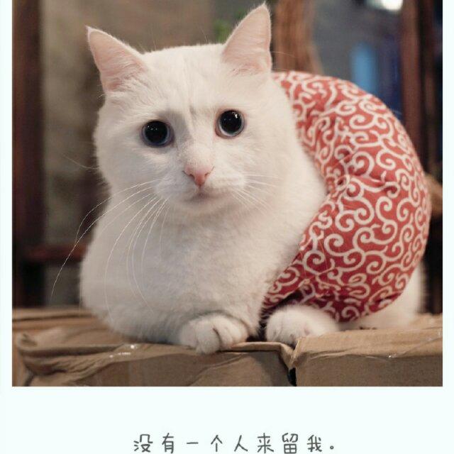 何B