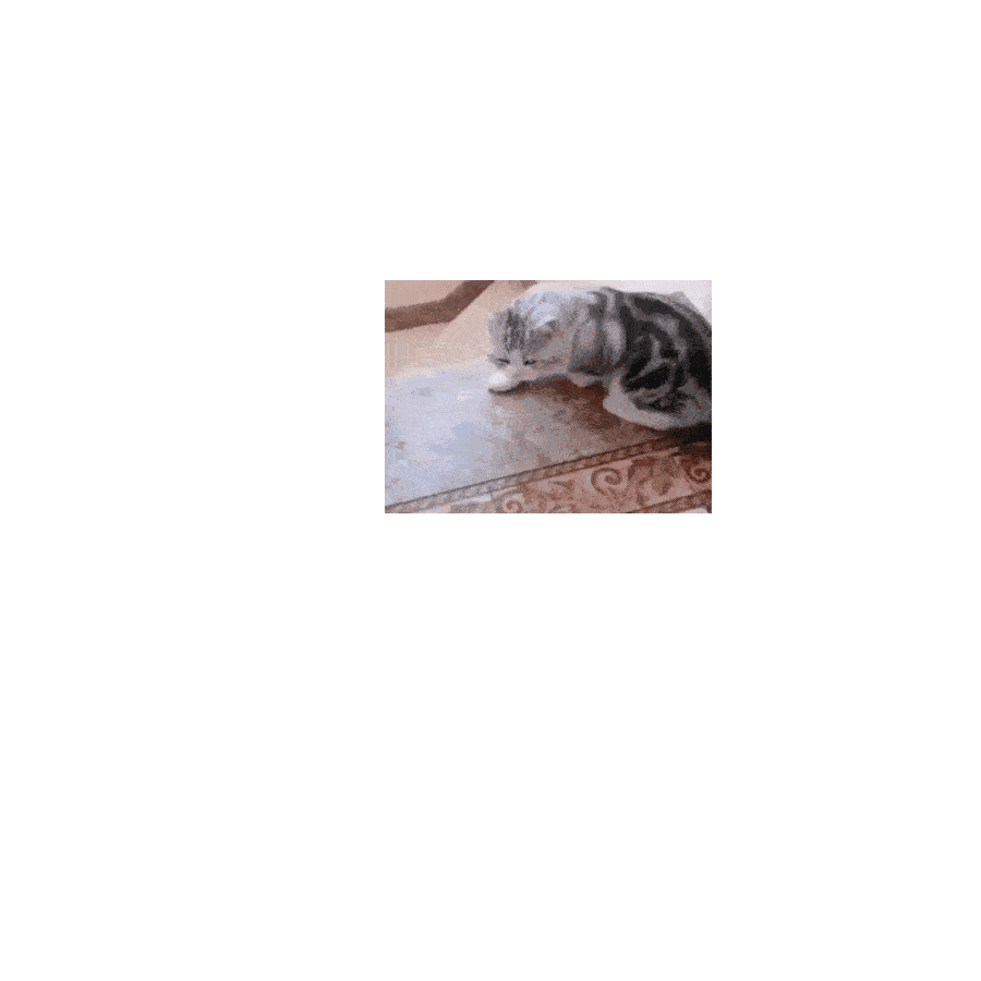 风羡衫