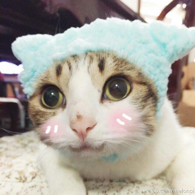 Hyacinth