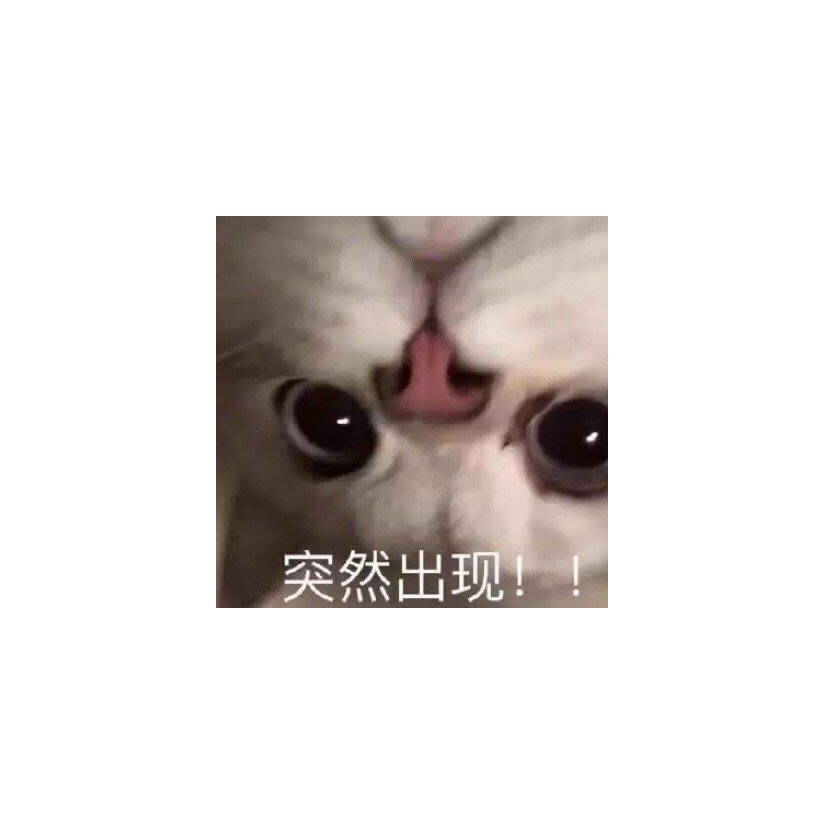 米斯特儿小何