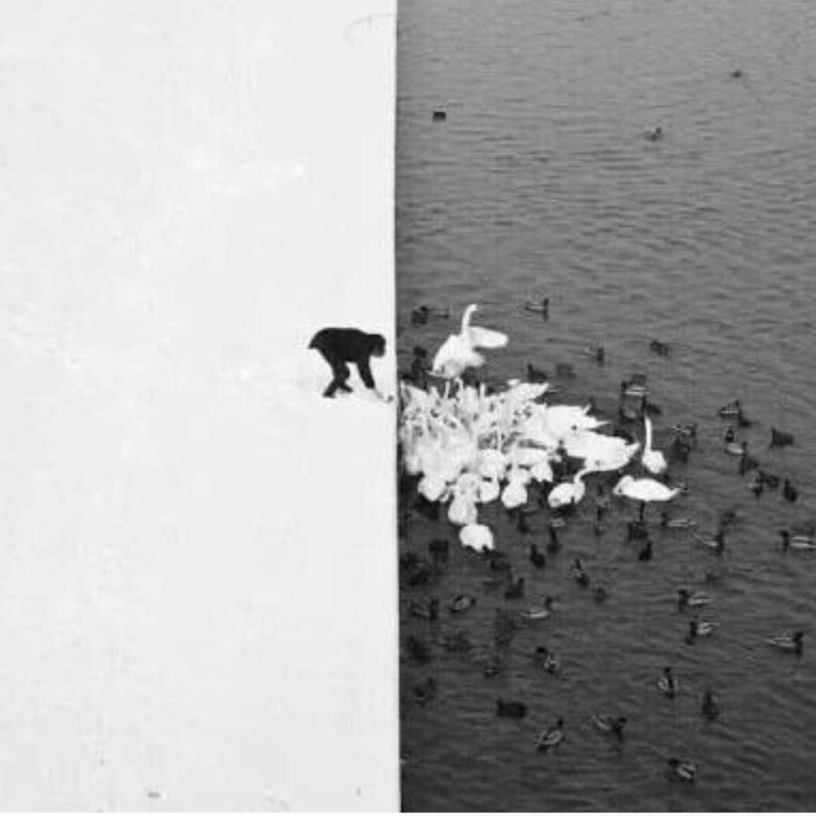 落日西佘