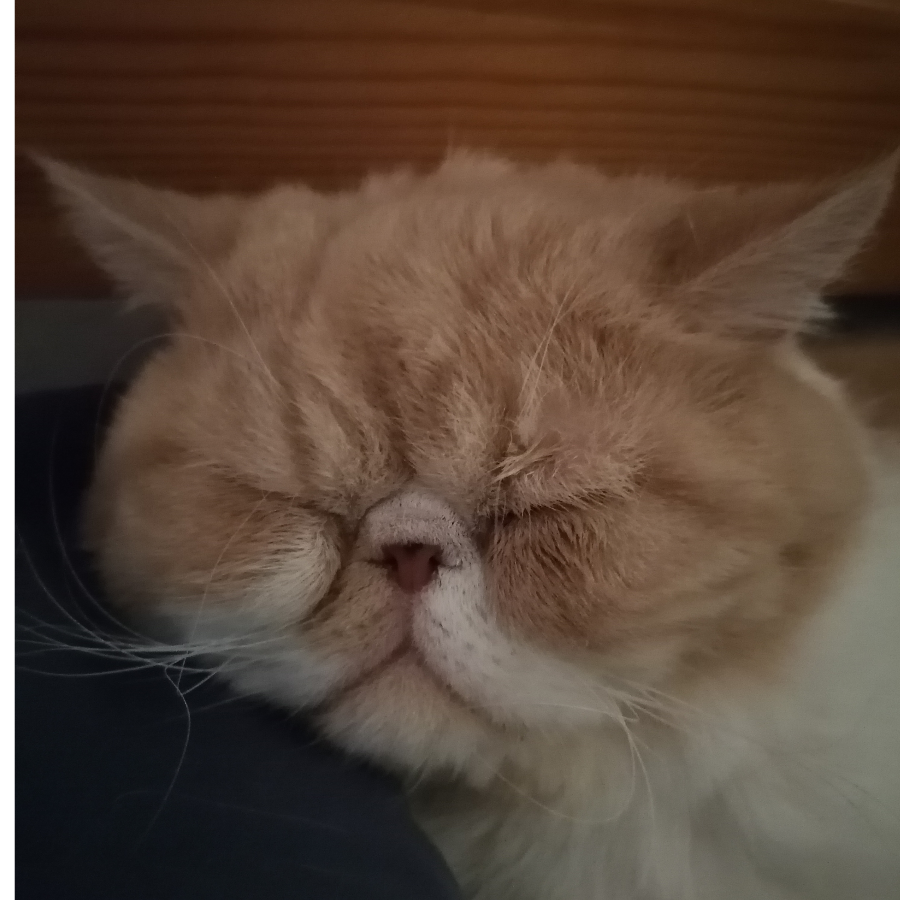 明也