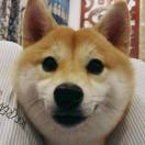y(╯3╰)k