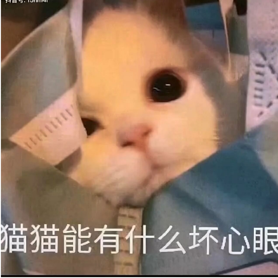 长了个猪鼻子