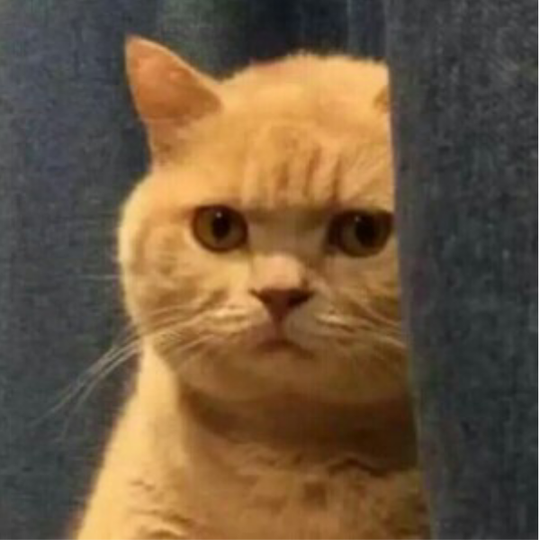 暗中观察