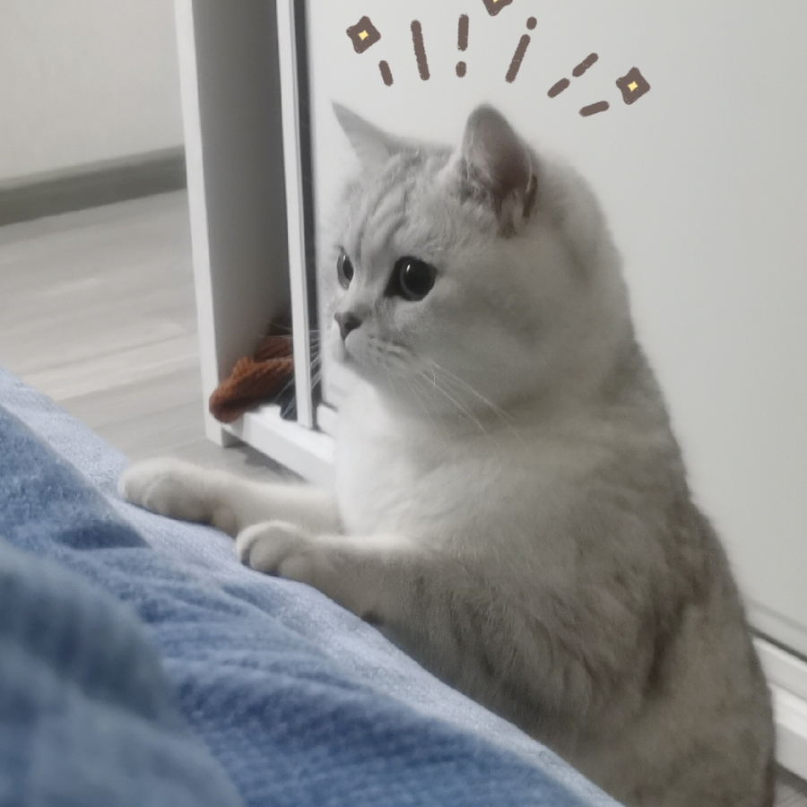 噜噜